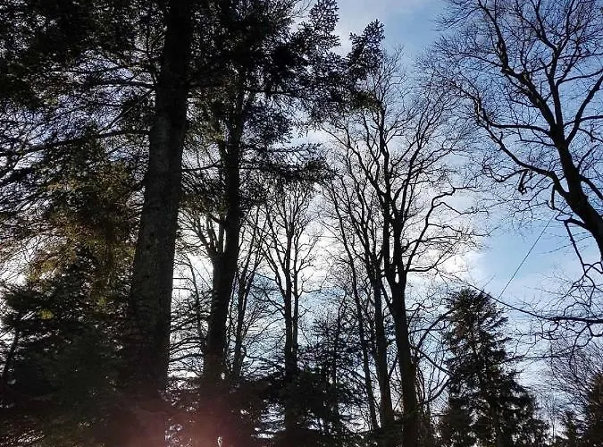 Urlaub Mit Aussicht