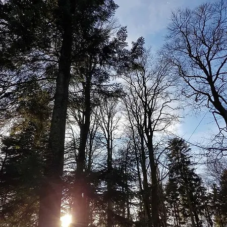 Urlaub Mit Aussicht